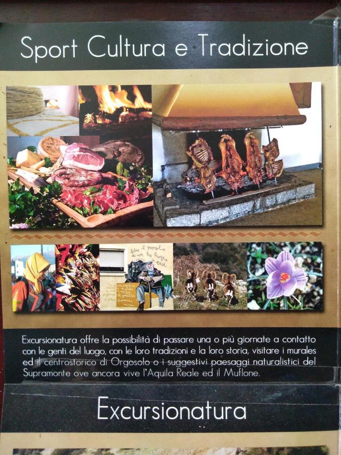 Locanda B&B Dandana ออร์โกโซโล ภายนอก รูปภาพ